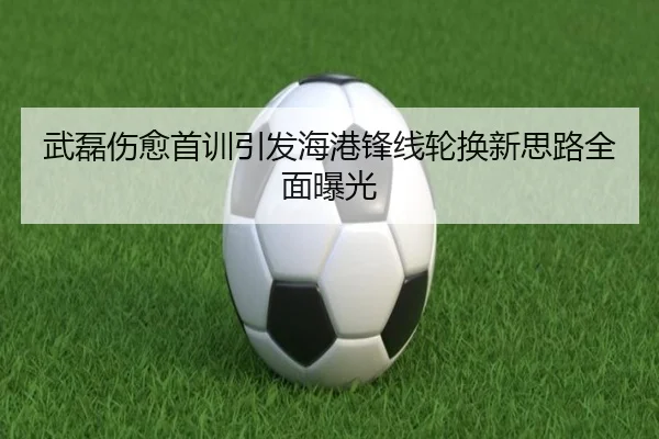 武磊伤愈首训引发海港锋线轮换新思路全面曝光