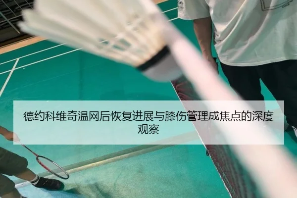德约科维奇温网后恢复进展与膝伤管理成焦点的深度观察